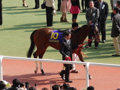 桜花賞