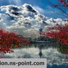 花博記念公園の紅葉HDR