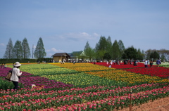 世羅高原農場