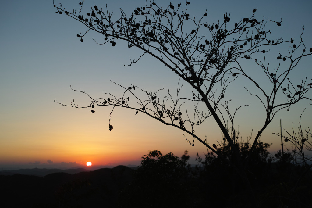 ただの夕景