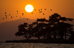 宍道湖の夕景