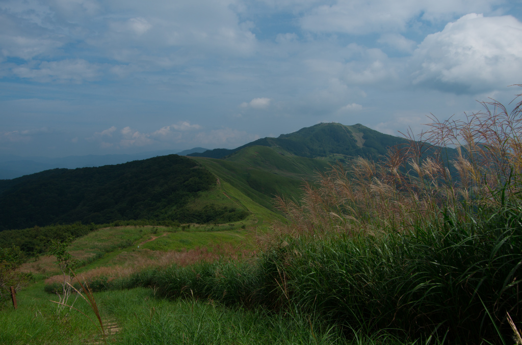 鉢伏山へ続く