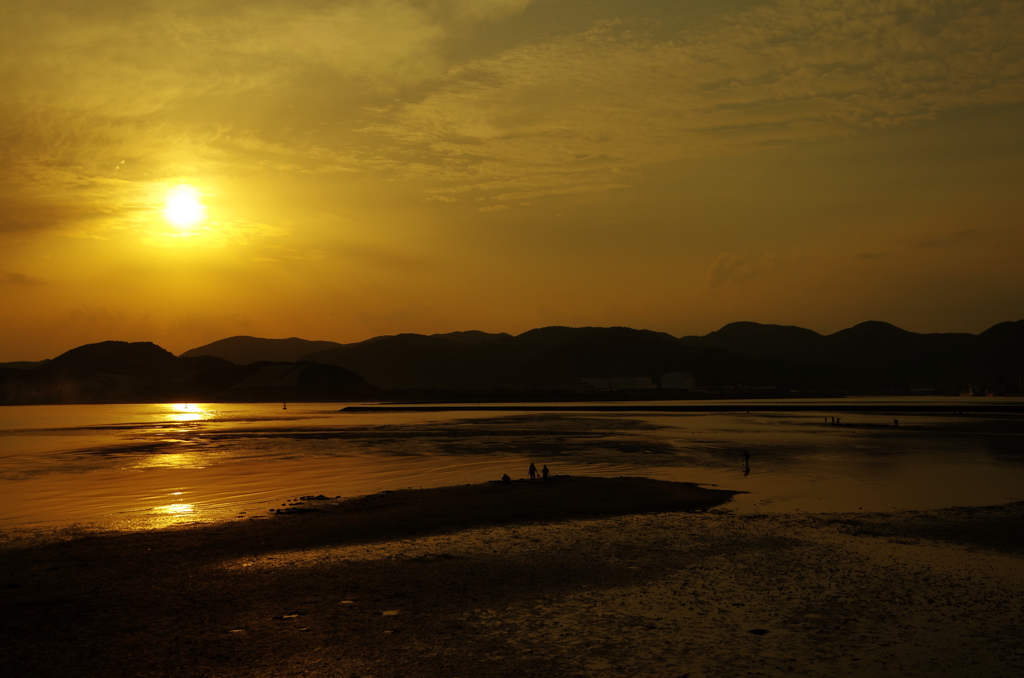 夕暮れの潮干狩り
