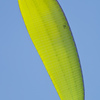 Paragliding 2