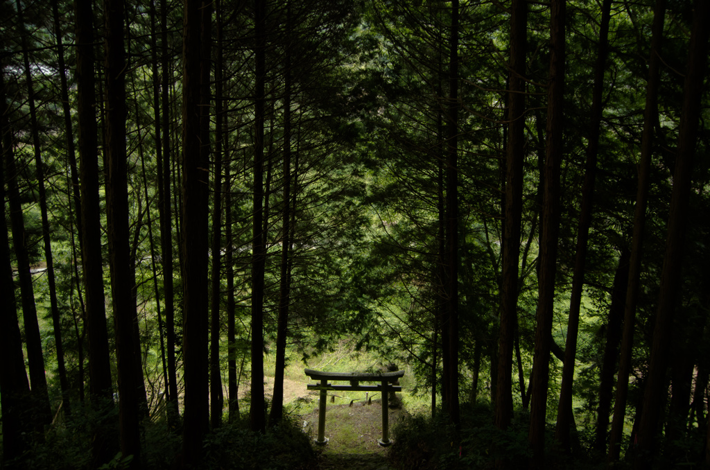 神社