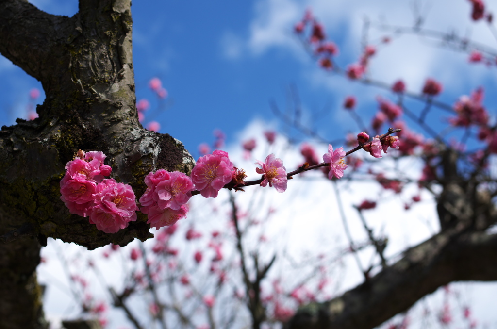 気付けばもう4月