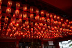 NKN_0474