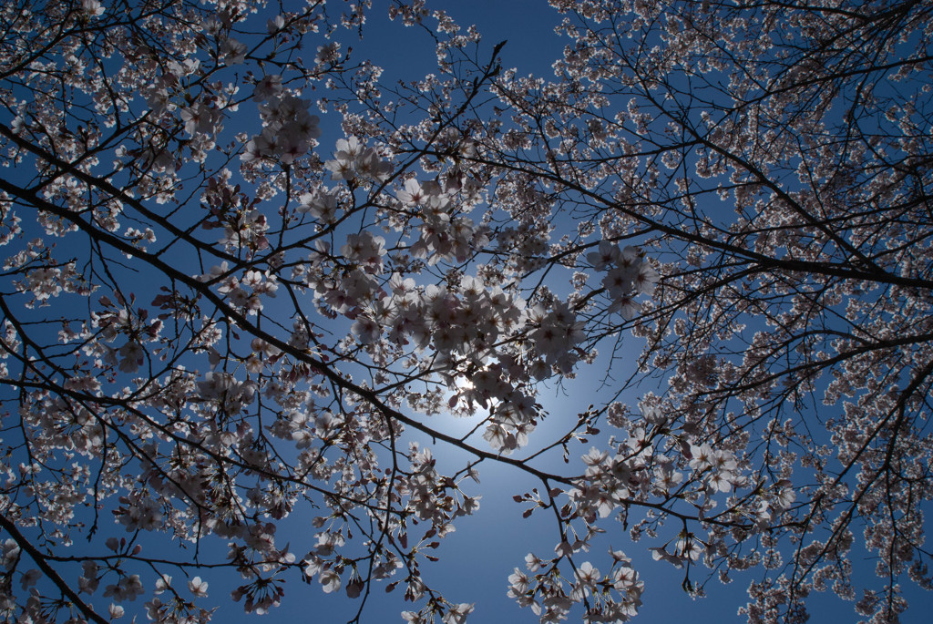 DSC05056