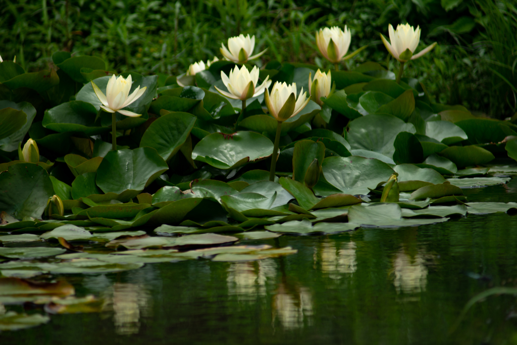 DSC00867