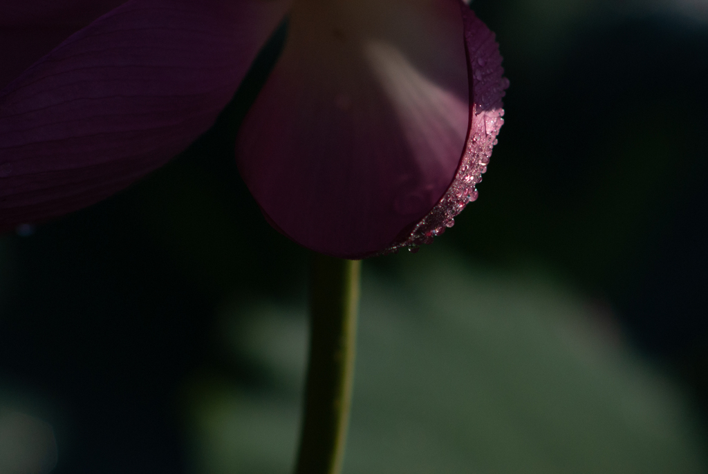DSC03241