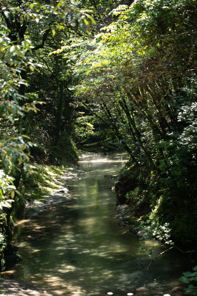 大出水の湧水