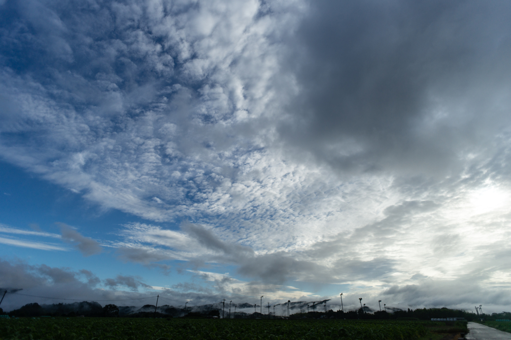 DSC00852