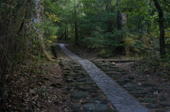 登山道