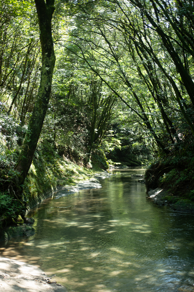 大出水の湧水