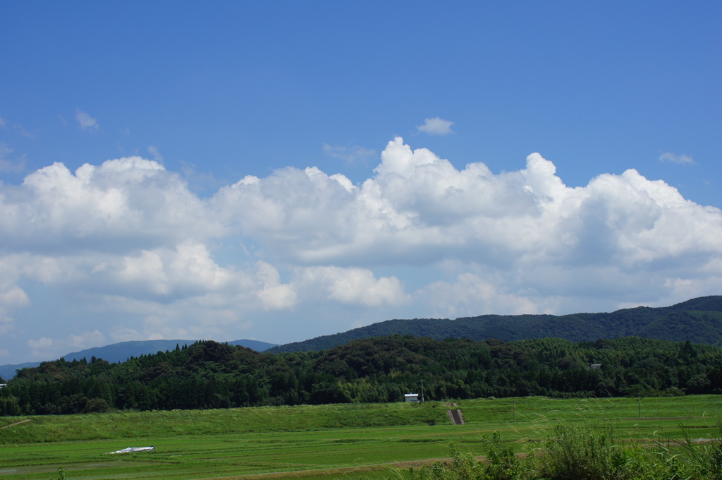 雲