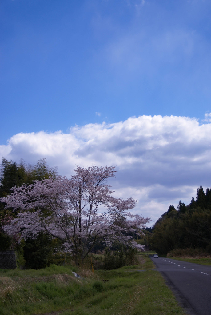 DSC04669