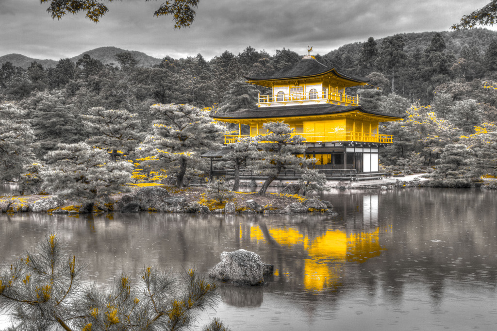 kinnkaku