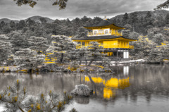 kinnkaku