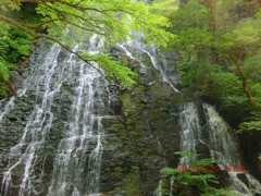 「滝巡り」