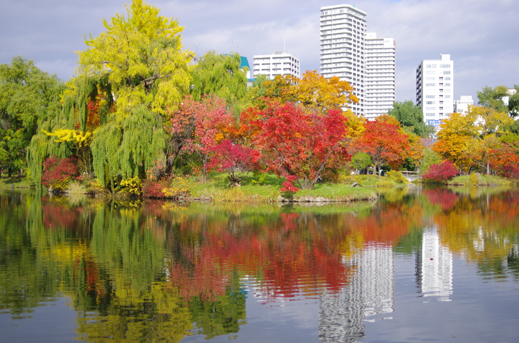 札幌　中島公園　１１