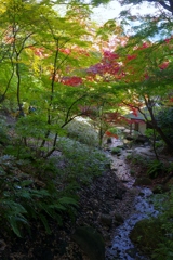 三溪園・内苑の小川