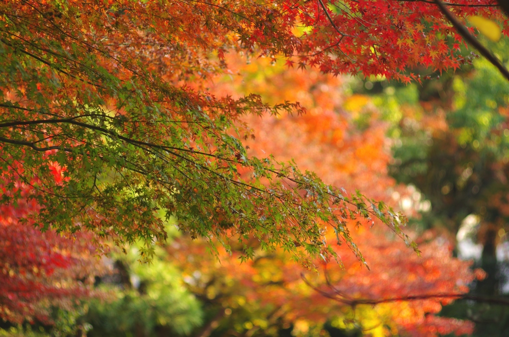 横浜公園　いろいろ
