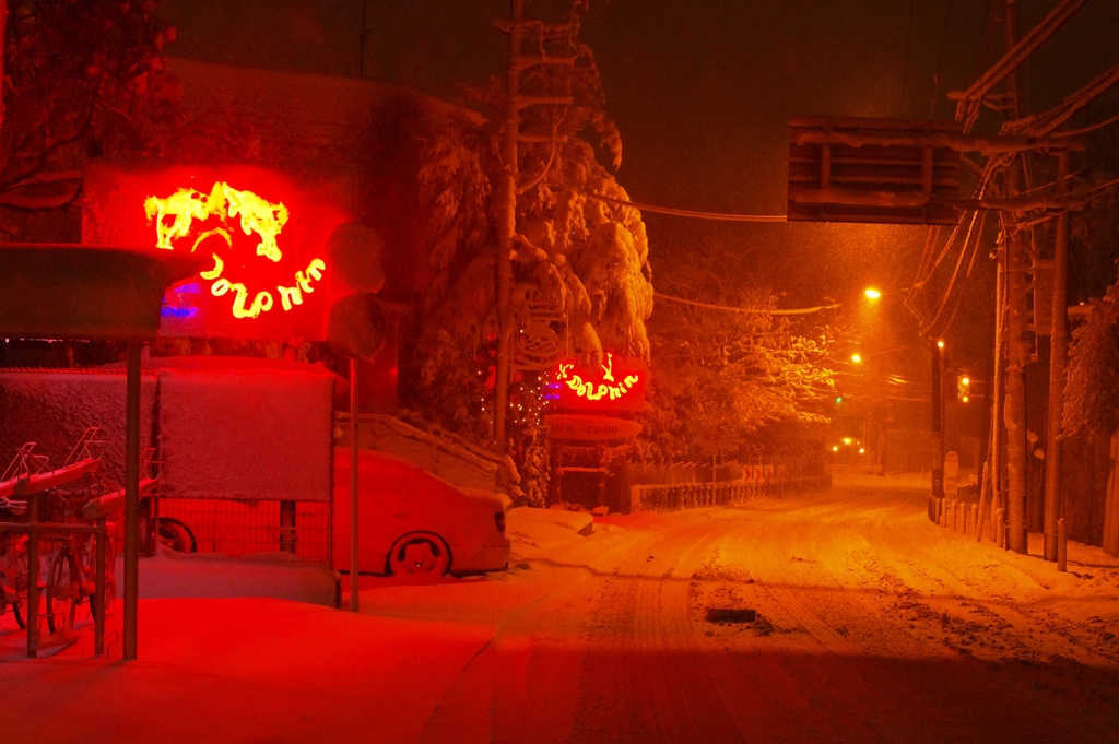 雪を見ていた午後