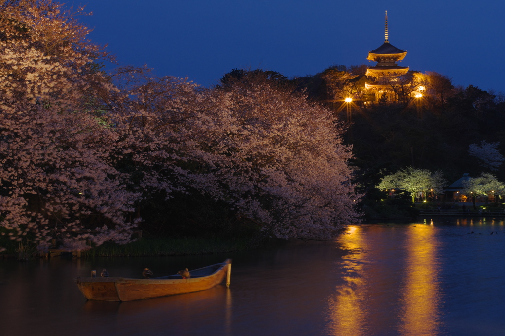 桜と小舟と三重塔