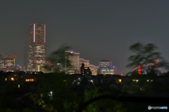 横浜根岸からの夜景