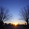 春分の日の夕日