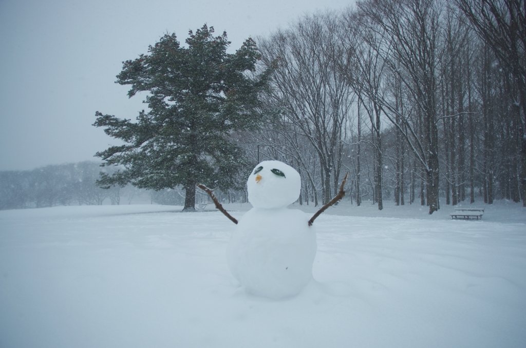 誰かが作った雪だるま