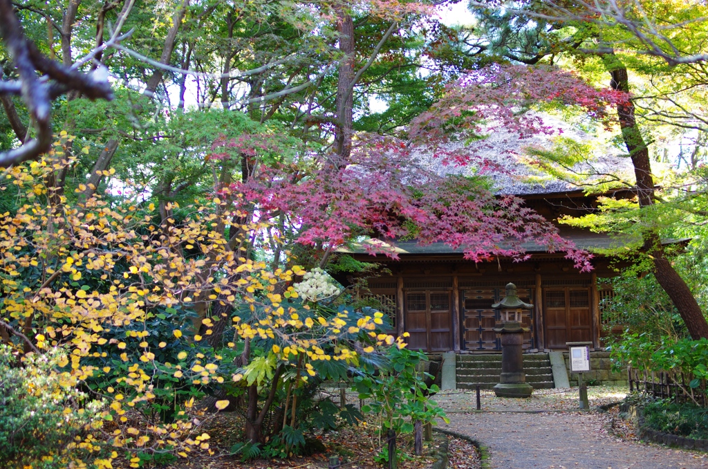 三渓園　旧東慶寺仏殿