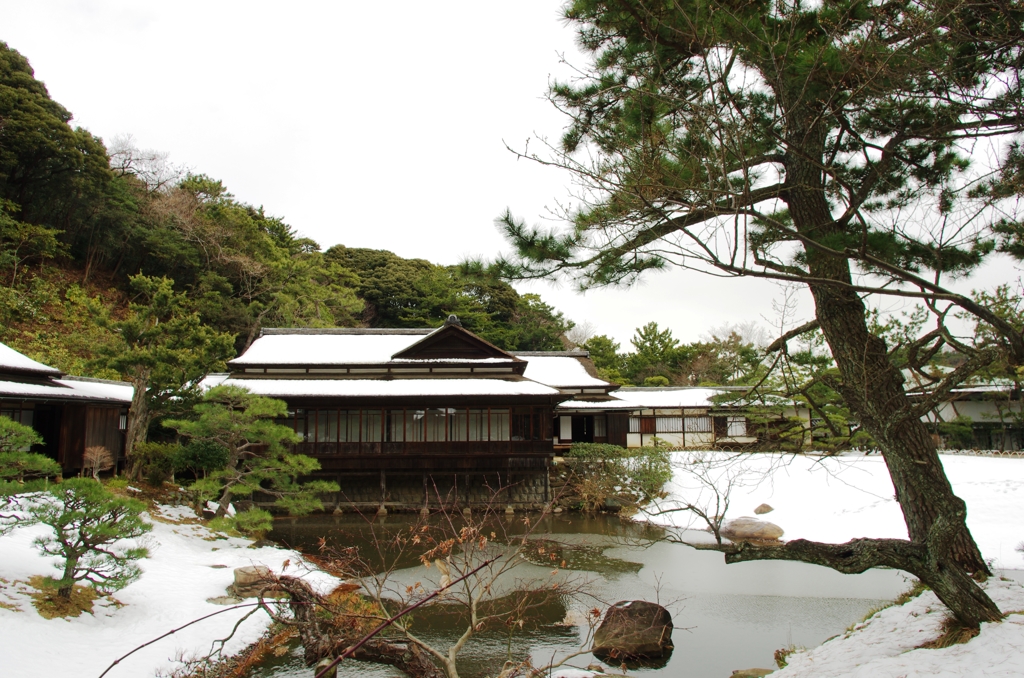 雪の三溪園臨春閣