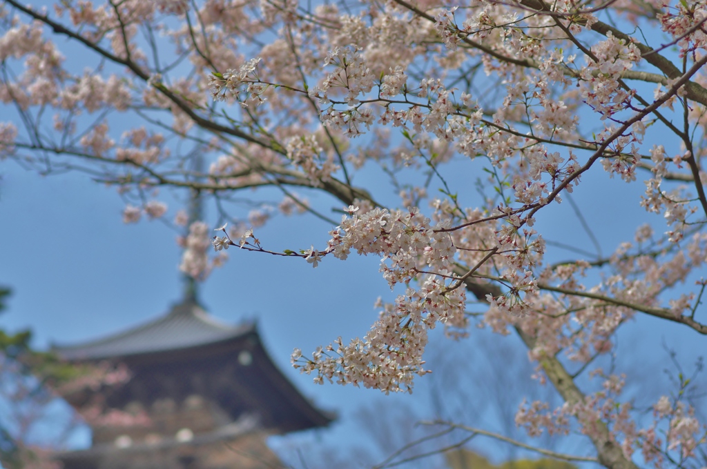 三溪園原典