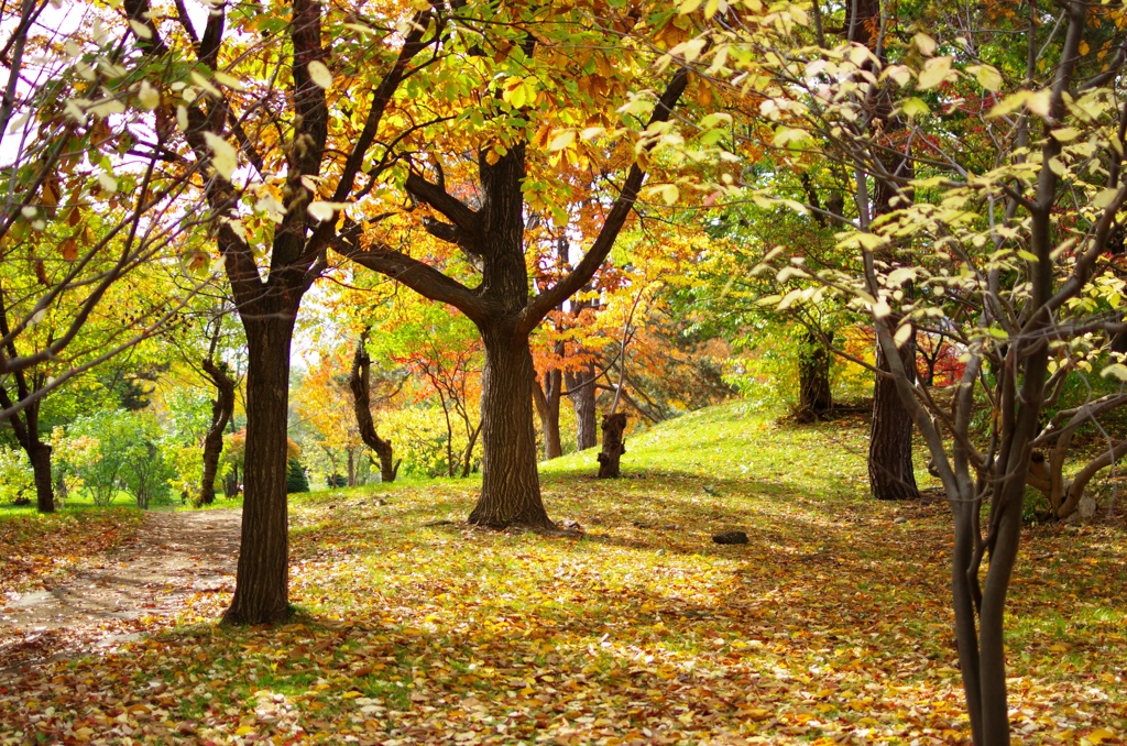 札幌　中島公園　３