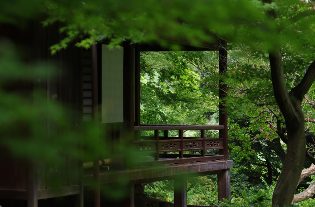 日本式夏のやり過ごし方