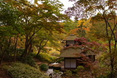 紅葉まであと一歩