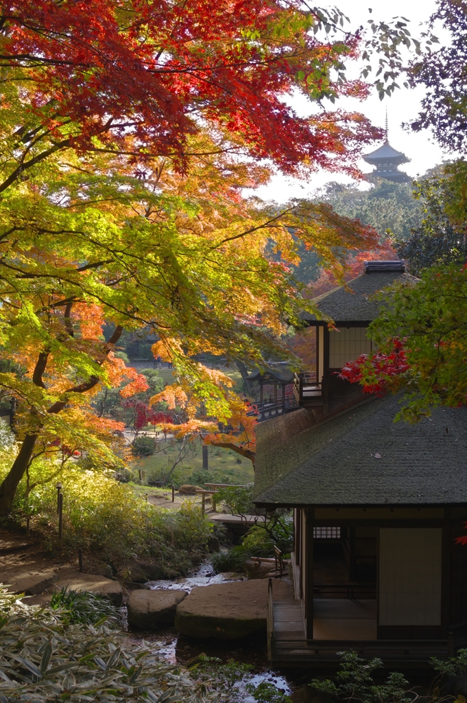 三溪園・人気スポット