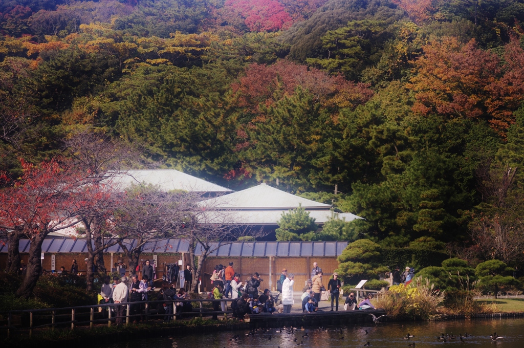 餌やり場