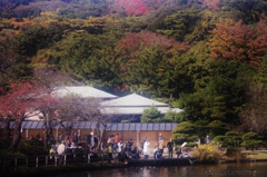 餌やり場