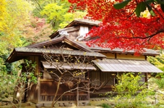 三渓園　内苑　聴秋閣とモミジ