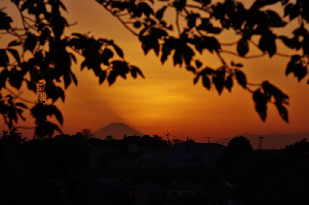 横浜からの富士　～夕焼け～