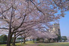 春の公園