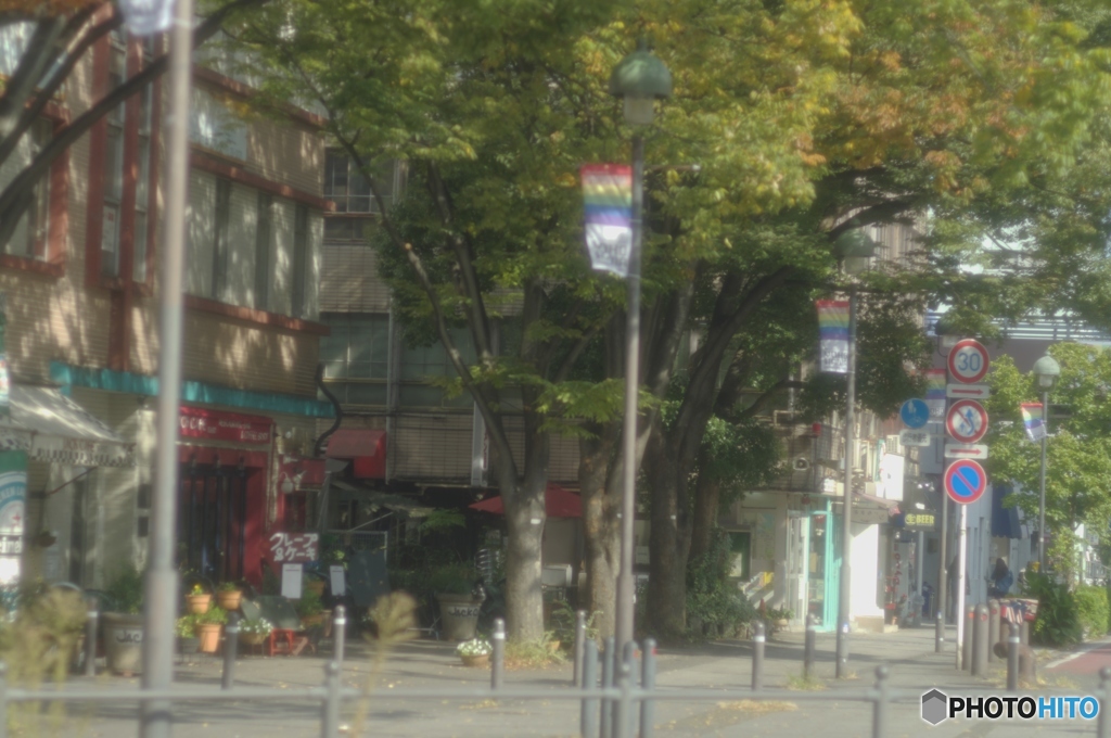 みんなが撮ってる海岸通り
