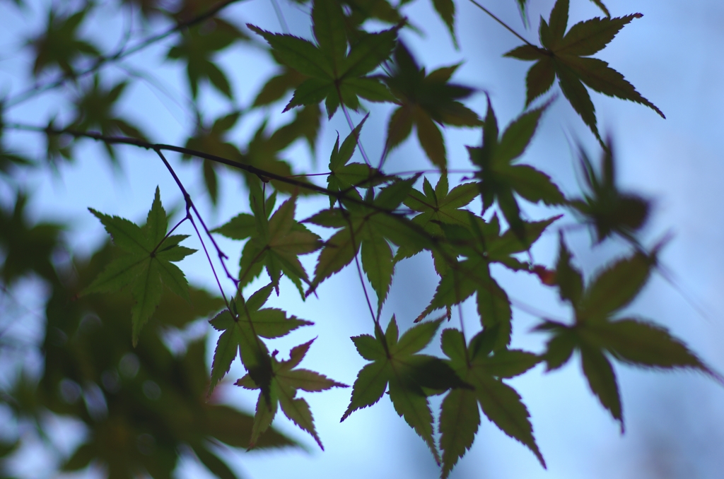 横浜公園　緑＋水色