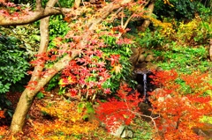 三渓園　内苑の滝