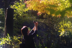 スマホで紅葉♪