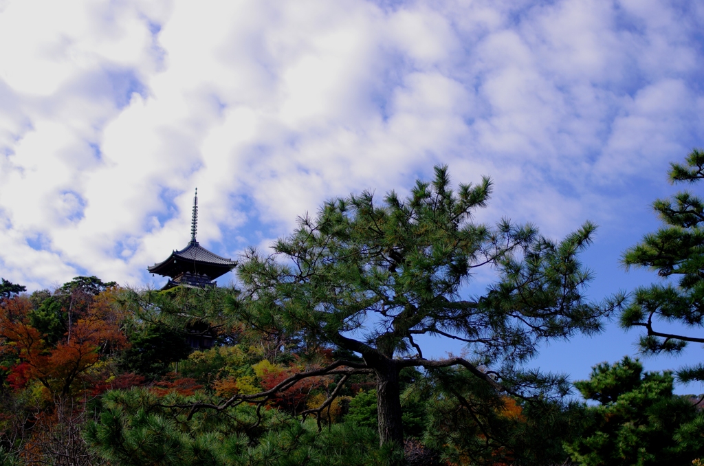 三渓園　三重塔