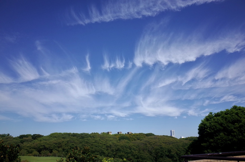 秋空