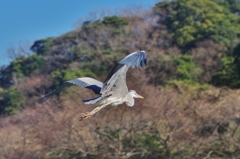 優雅だねぇ